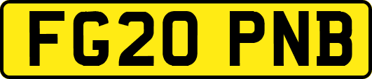 FG20PNB