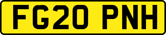 FG20PNH