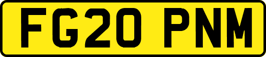 FG20PNM