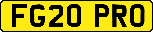 FG20PRO