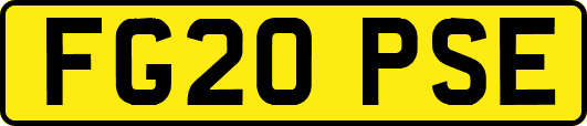FG20PSE