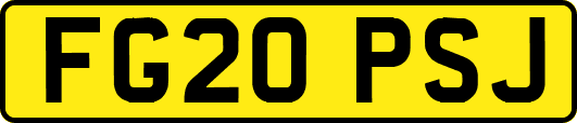FG20PSJ