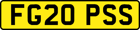 FG20PSS