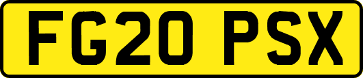 FG20PSX