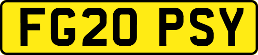 FG20PSY