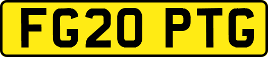 FG20PTG
