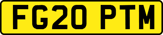 FG20PTM