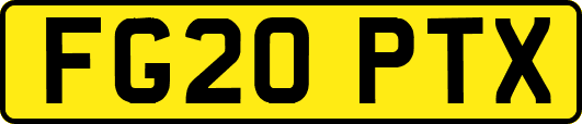 FG20PTX