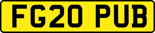 FG20PUB