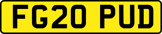 FG20PUD
