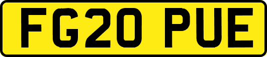 FG20PUE