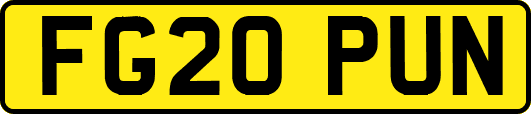 FG20PUN