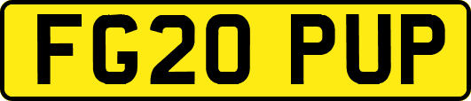 FG20PUP