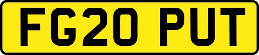 FG20PUT
