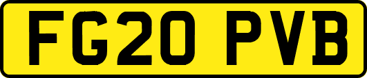 FG20PVB