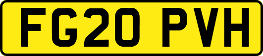 FG20PVH