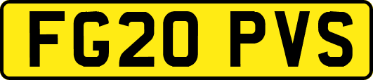 FG20PVS