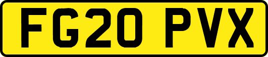 FG20PVX