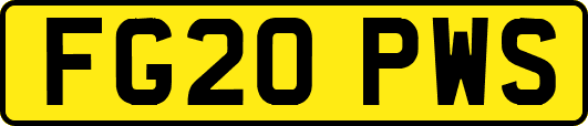 FG20PWS