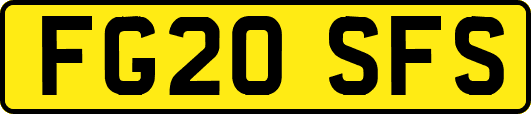 FG20SFS