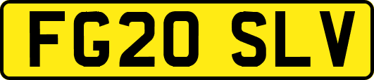 FG20SLV