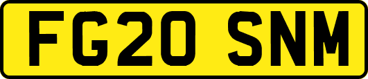 FG20SNM