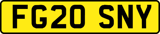 FG20SNY