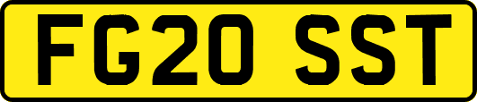 FG20SST