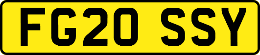 FG20SSY