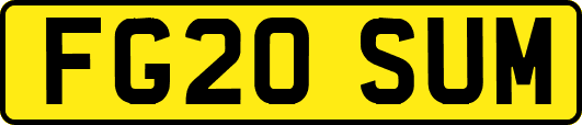 FG20SUM