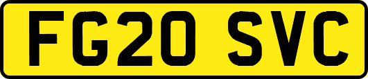 FG20SVC