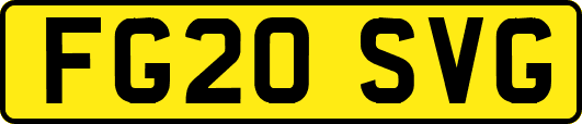 FG20SVG