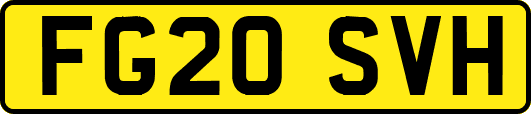 FG20SVH