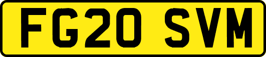FG20SVM