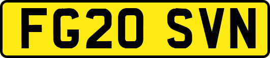 FG20SVN
