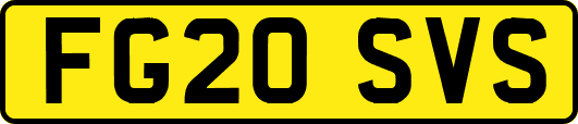 FG20SVS