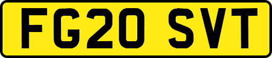 FG20SVT
