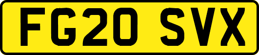 FG20SVX