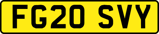 FG20SVY