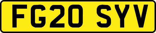 FG20SYV