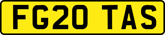 FG20TAS