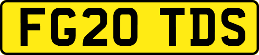 FG20TDS