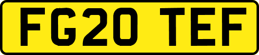 FG20TEF