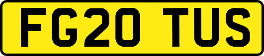 FG20TUS