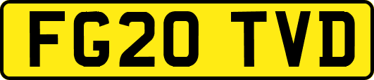 FG20TVD