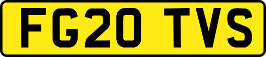 FG20TVS