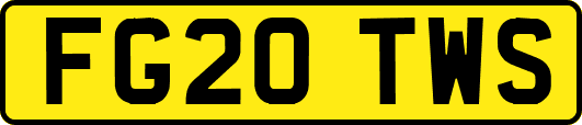FG20TWS