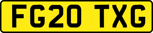 FG20TXG