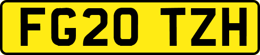 FG20TZH