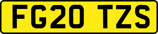 FG20TZS